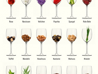 Poster of wine flavours